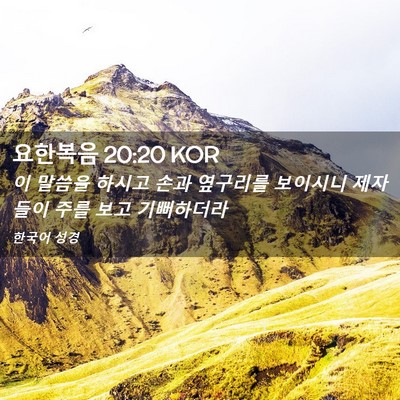 Picture 02 - 요한복음 20:20 KOR - 이 말씀을 하시고 손과 옆구리를 - Bible Verse Picture