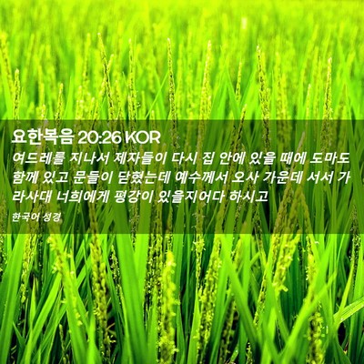 Picture 02 - 요한복음 20:26 KOR - 여드레를 지나서 제자들이 다시 집 - Bible Verse Picture
