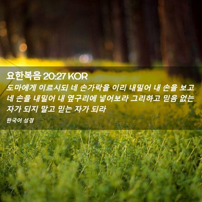 Picture 02 - 요한복음 20:27 KOR - 도마에게 이르시되 네 손가락을 이리 - Bible Verse Picture