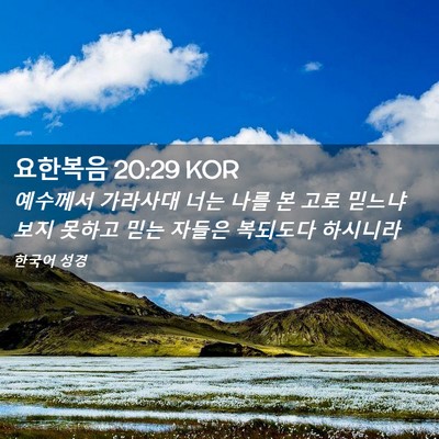 Picture 02 - 요한복음 20:29 KOR - 예수께서 가라사대 너는 나를 본 - Bible Verse Picture
