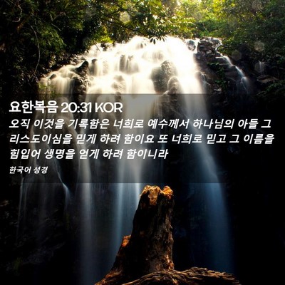 Picture 02 - 요한복음 20:31 KOR - 오직 이것을 기록함은 너희로 - Bible Verse Picture