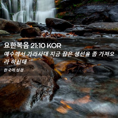 Picture 02 - 요한복음 21:10 KOR - 예수께서 가라사대 지금 잡은 생선을 - Bible Verse Picture