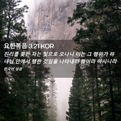 Picture 02 - 요한복음 3:21 KOR - 진리를 쫓는 자는 빛으로 오나니 - Bible Verse Picture