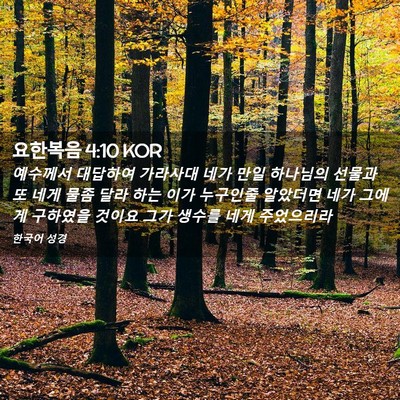 Picture 02 - 요한복음 4:10 KOR - 예수께서 대답하여 가라사대 네가 - Bible Verse Picture