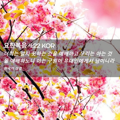 Picture 02 - 요한복음 4:22 KOR - 너희는 알지 못하는 것을 예배하고 - Bible Verse Picture