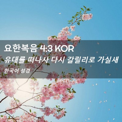 Picture 02 - 요한복음 4:3 KOR - 유대를 떠나사 다시 갈릴리로 - Bible Verse Picture