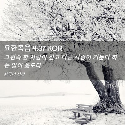 Picture 02 - 요한복음 4:37 KOR - 그런즉 한 사람이 심고 다른 사람이 - Bible Verse Picture