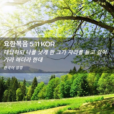 Picture 02 - 요한복음 5:11 KOR - 대답하되 나를 낫게 한 그가 자리를 - Bible Verse Picture