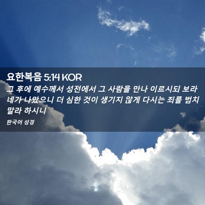 Picture 02 - 요한복음 5:14 KOR - 그 후에 예수께서 성전에서 그 - Bible Verse Picture