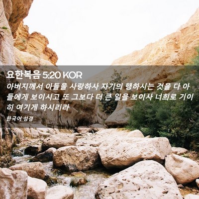 Picture 02 - 요한복음 5:20 KOR - 아버지께서 아들을 사랑하사 자기의 - Bible Verse Picture