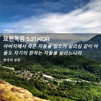 Picture 02 - 요한복음 5:21 KOR - 아버지께서 죽은 자들을 일으켜 - Bible Verse Picture