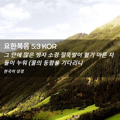 Picture 02 - 요한복음 5:3 KOR - 그 안에 많은 병자 소경 절뚝발이 - Bible Verse Picture
