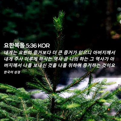 Picture 02 - 요한복음 5:36 KOR - 내게는 요한의 증거보다 더 큰 - Bible Verse Picture