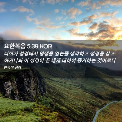 Picture 02 - 요한복음 5:39 KOR - 너희가 성경에서 영생을 얻는줄 - Bible Verse Picture