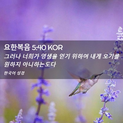 Picture 02 - 요한복음 5:40 KOR - 그러나 너희가 영생을 얻기 위하여 - Bible Verse Picture