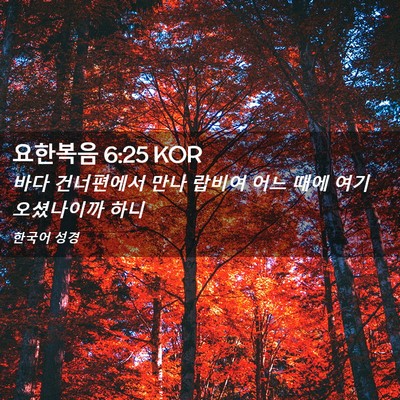 Picture 02 - 요한복음 6:25 KOR - 바다 건너편에서 만나 랍비여 어느 - Bible Verse Picture