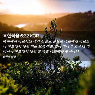 Picture 02 - 요한복음 6:32 KOR - 예수께서 이르시되 내가 진실로 - Bible Verse Picture