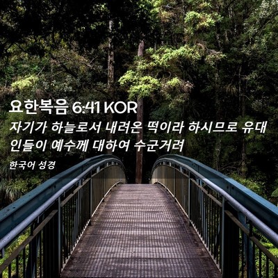 Picture 02 - 요한복음 6:41 KOR - 자기가 하늘로서 내려온 떡이라 - Bible Verse Picture