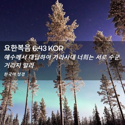 Picture 02 - 요한복음 6:43 KOR - 예수께서 대답하여 가라사대 너희는 - Bible Verse Picture