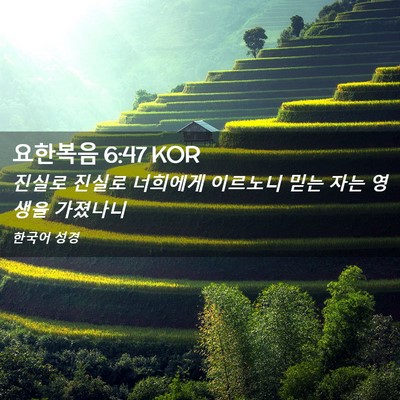 Picture 02 - 요한복음 6:47 KOR - 진실로 진실로 너희에게 이르노니 - Bible Verse Picture