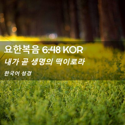 Picture 02 - 요한복음 6:48 KOR - 내가 곧 생명의 - Bible Verse Picture