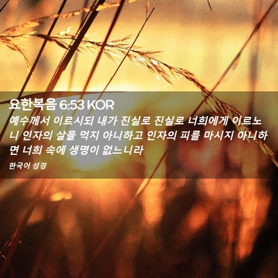 Picture 02 - 요한복음 6:53 KOR - 예수께서 이르시되 내가 진실로 - Bible Verse Picture