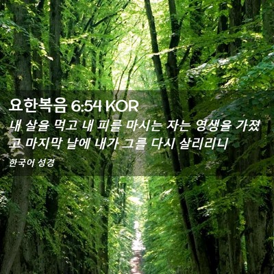 Picture 02 - 요한복음 6:54 KOR - 내 살을 먹고 내 피를 마시는 자는 - Bible Verse Picture