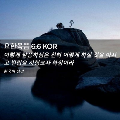 Picture 02 - 요한복음 6:6 KOR - 이렇게 말씀하심은 친히 어떻게 하실 - Bible Verse Picture