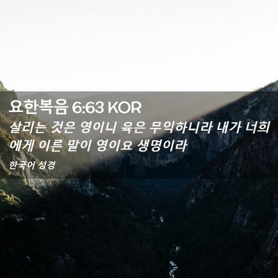 Picture 02 - 요한복음 6:63 KOR - 살리는 것은 영이니 육은 무익하니라 - Bible Verse Picture
