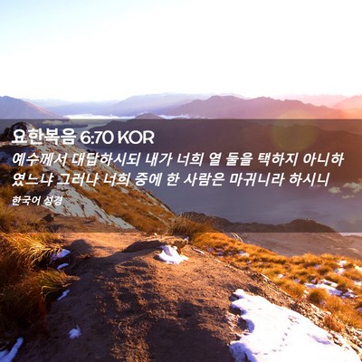 Picture 02 - 요한복음 6:70 KOR - 예수께서 대답하시되 내가 너희 열 - Bible Verse Picture