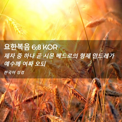 Picture 02 - 요한복음 6:8 KOR - 제자 중 하나 곧 시몬 베드로의 형제 - Bible Verse Picture