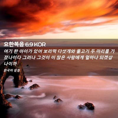 Picture 02 - 요한복음 6:9 KOR - 여기 한 아이가 있어 보리떡 - Bible Verse Picture