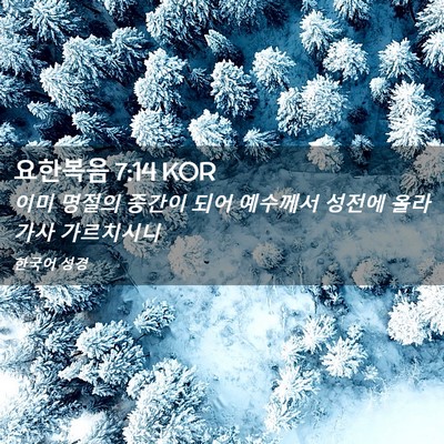 Picture 02 - 요한복음 7:14 KOR - 이미 명절의 중간이 되어 예수께서 - Bible Verse Picture