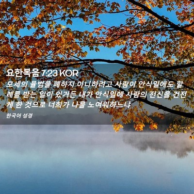 Picture 02 - 요한복음 7:23 KOR - 모세의 율법을 폐하지 아니하려고 - Bible Verse Picture