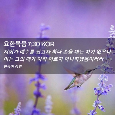 Picture 02 - 요한복음 7:30 KOR - 저희가 예수를 잡고자 하나 손을 - Bible Verse Picture