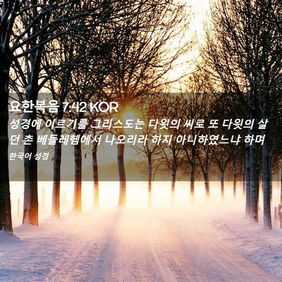 Picture 02 - 요한복음 7:42 KOR - 성경에 이르기를 그리스도는 다윗의 - Bible Verse Picture