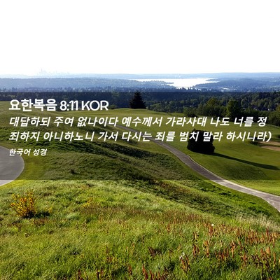 Picture 02 - 요한복음 8:11 KOR - 대답하되 주여 없나이다 예수께서 - Bible Verse Picture