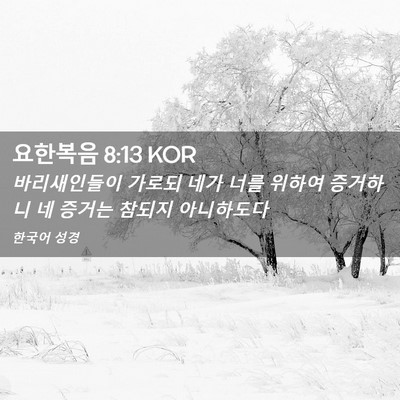 Picture 02 - 요한복음 8:13 KOR - 바리새인들이 가로되 네가 너를 - Bible Verse Picture