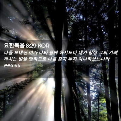 Picture 02 - 요한복음 8:29 KOR - 나를 보내신 이가 나와 함께 - Bible Verse Picture