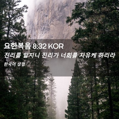 Picture 02 - 요한복음 8:32 KOR - 진리를 알지니 진리가 너희를 자유케 - Bible Verse Picture