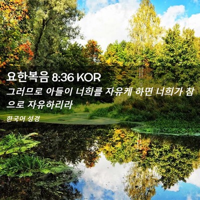 Picture 02 - 요한복음 8:36 KOR - 그러므로 아들이 너희를 자유케 하면 - Bible Verse Picture