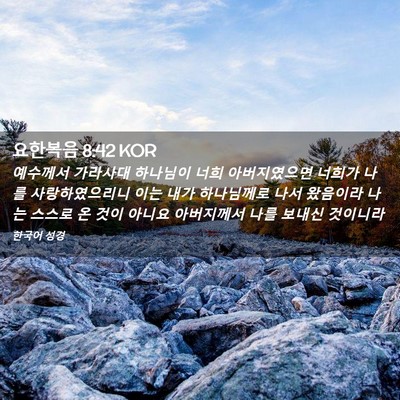 Picture 02 - 요한복음 8:42 KOR - 예수께서 가라사대 하나님이 너희 - Bible Verse Picture