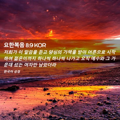Picture 02 - 요한복음 8:9 KOR - 저희가 이 말씀을 듣고 양심의 - Bible Verse Picture