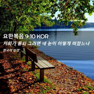 Picture 02 - 요한복음 9:10 KOR - 저희가 묻되 그러면 네 눈이 어떻게 - Bible Verse Picture