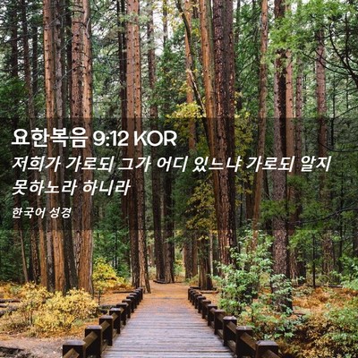 Picture 02 - 요한복음 9:12 KOR - 저희가 가로되 그가 어디 있느냐 - Bible Verse Picture