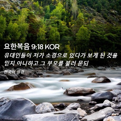 Picture 02 - 요한복음 9:18 KOR - 유대인들이 저가 소경으로 있다가 - Bible Verse Picture