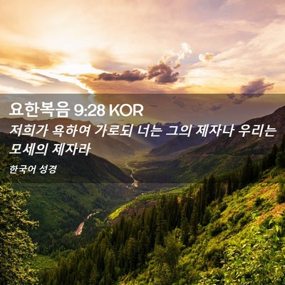 Picture 02 - 요한복음 9:28 KOR - 저희가 욕하여 가로되 너는 그의 - Bible Verse Picture