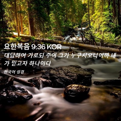 Picture 02 - 요한복음 9:36 KOR - 대답하여 가로되 주여 그가 - Bible Verse Picture