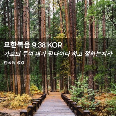 Picture 02 - 요한복음 9:38 KOR - 가로되 주여 내가 믿나이다 하고 - Bible Verse Picture