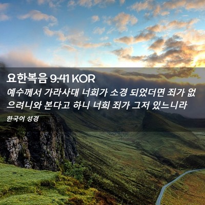 Picture 02 - 요한복음 9:41 KOR - 예수께서 가라사대 너희가 소경 - Bible Verse Picture